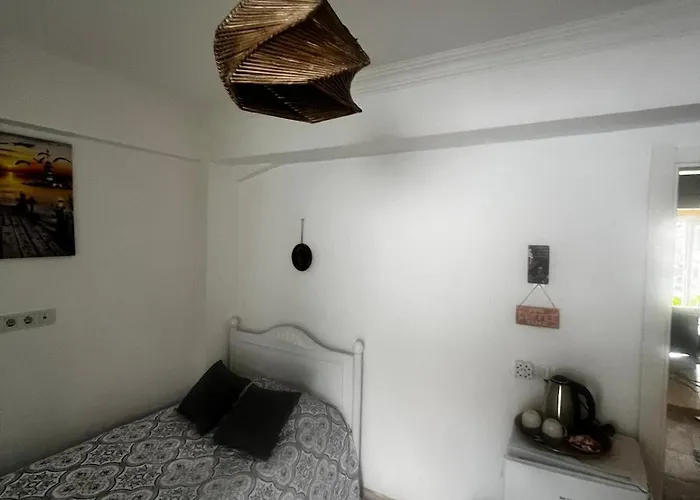 Garden House & Private House With Garden フェティエ