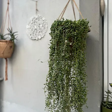 Garden House & Private House With Garden Φετιγιέ