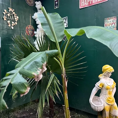 Garden House & Private House With Garden Appartement